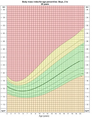 bmi calculator for children cdc